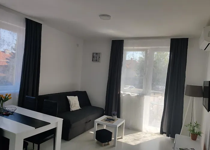 Master ソコバニャ